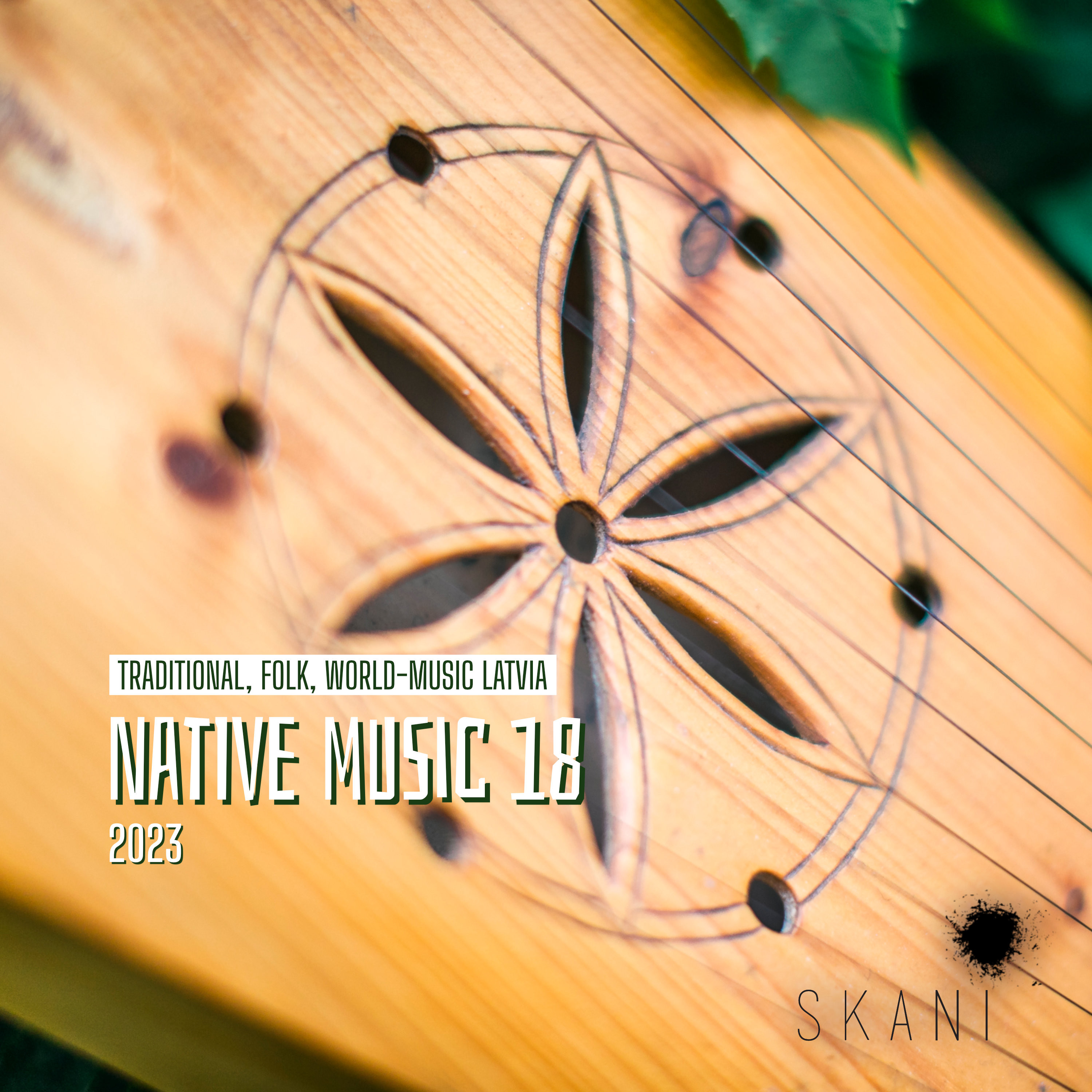 Native Music 18